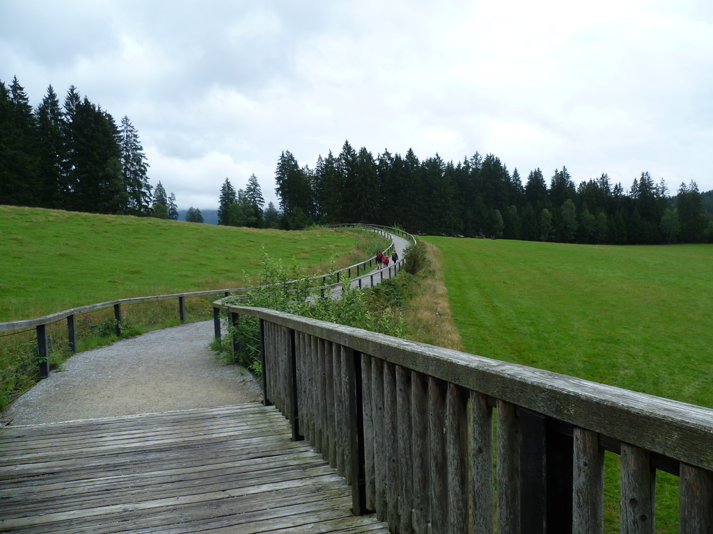 Tier-Freigelände mit Steinzeithöhle im Nationalparkzentrum Falkenstein