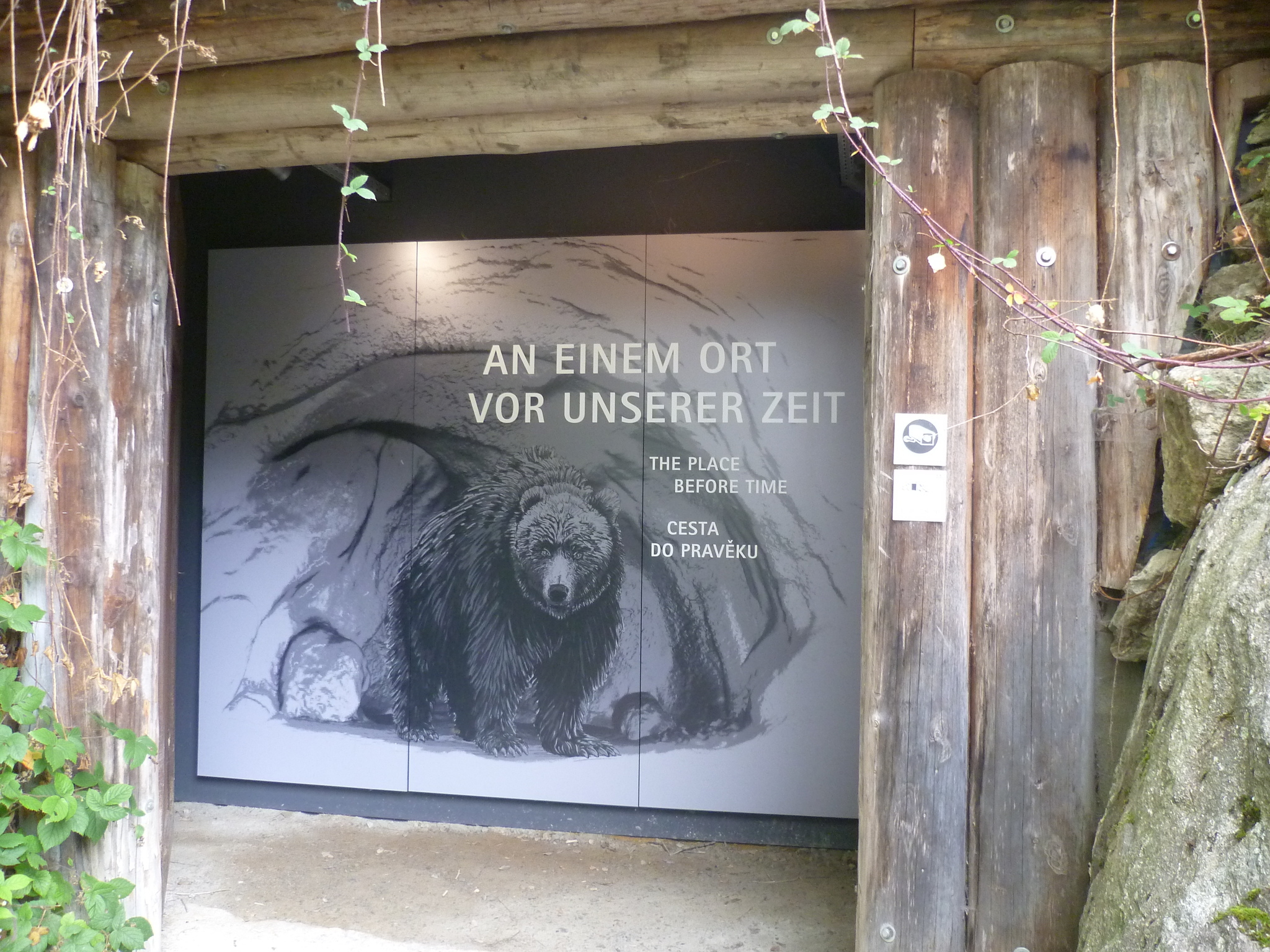 Tier-Freigelände mit Steinzeithöhle im Nationalparkzentrum Falkenstein - ©Martine Ernst