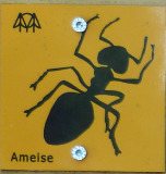 Rundwanderweg Ameise