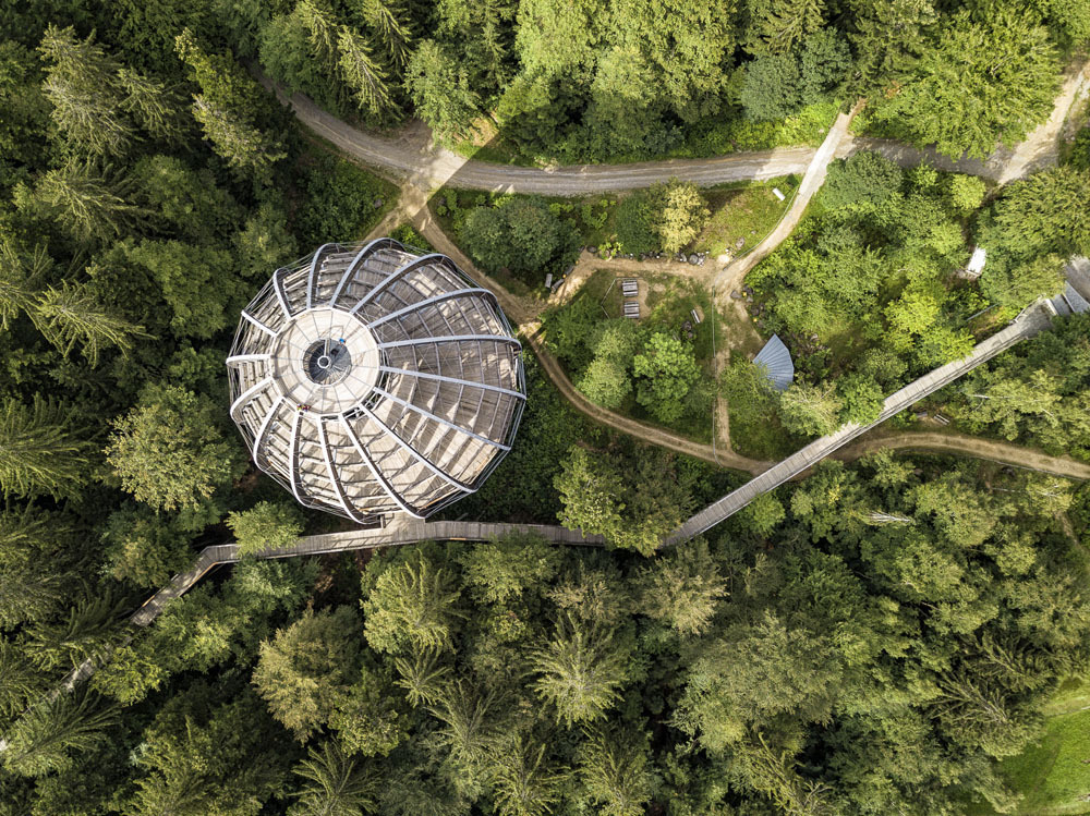Urlaubsinspiration "Nationalpark kennen lernen - Eintauchen in die wilde Waldnatur"