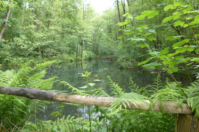 Lehrpfad Bismarckstieg - Teil des Rundweges "Zwischen Elbe und Fläming" - 3,3 km