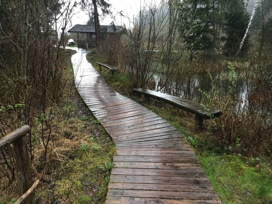 Wanderweg Moorerlebnis Sterntaler Filze
