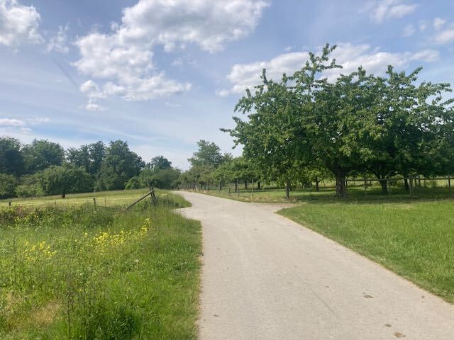 Rundwanderweg für ALLE (Nr. 17) in Aichwald