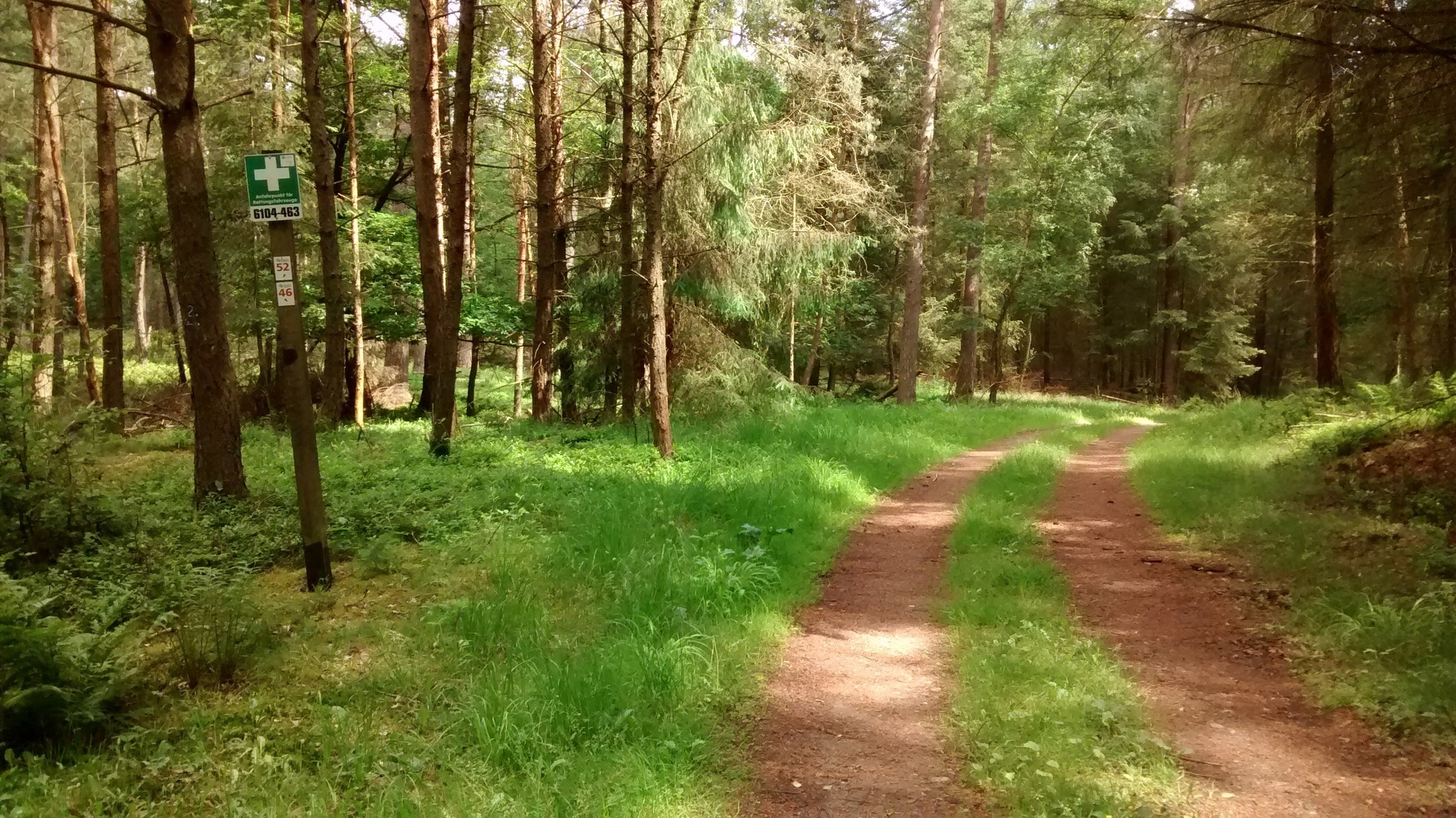 Naturparkwanderweg Nr. 46 mit Rollstuhlzuggerät (Ferschweiler Plateau)
