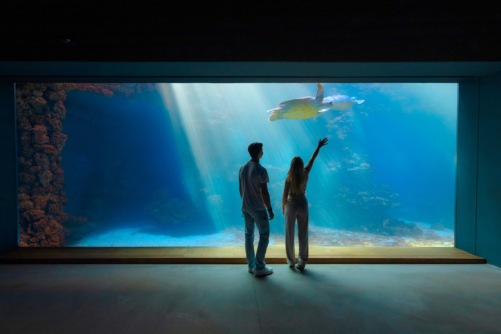 Deutsches Meeresmuseum, Standort MEERESMUSEUM