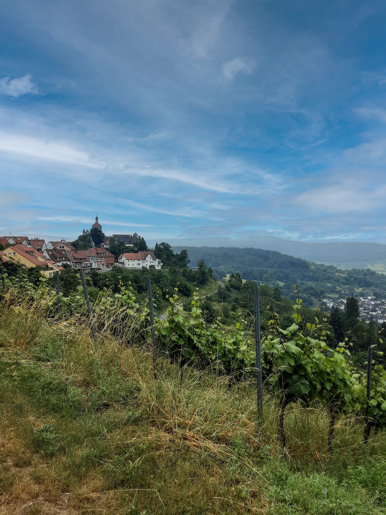 Panoramaweg für Rollstuhlfahrende in Winnenden-Bürg WN10