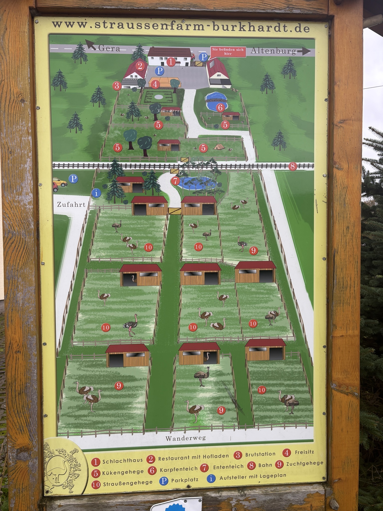 Straußenfarm Burkhardt