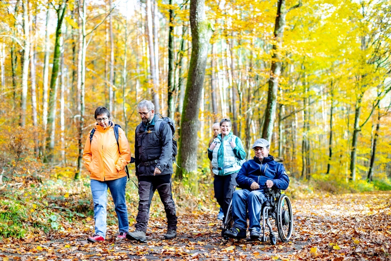 Komfort-Wanderweg - Elztal