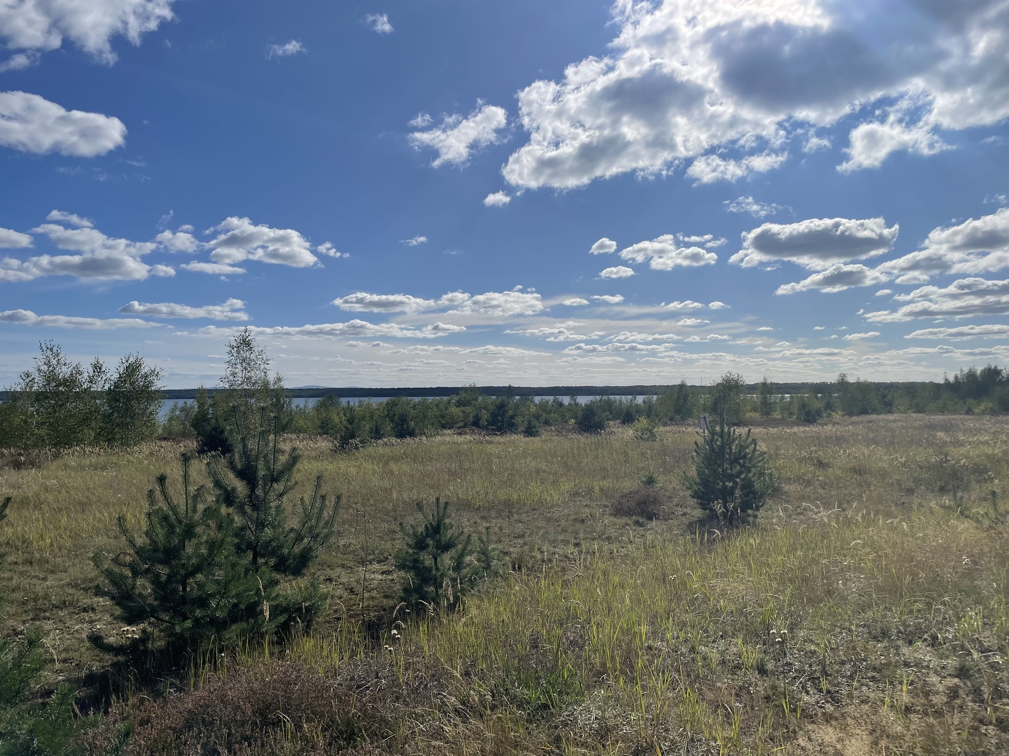 Rundweg um den Bärwalder See 