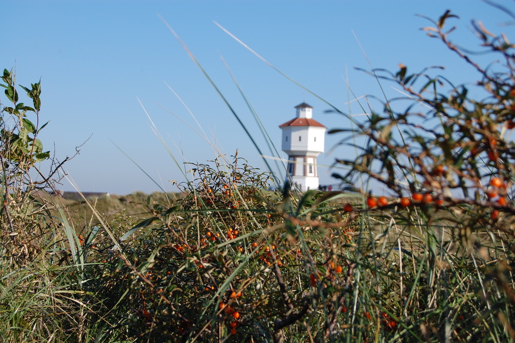 Tourismusregion Ostfriesland