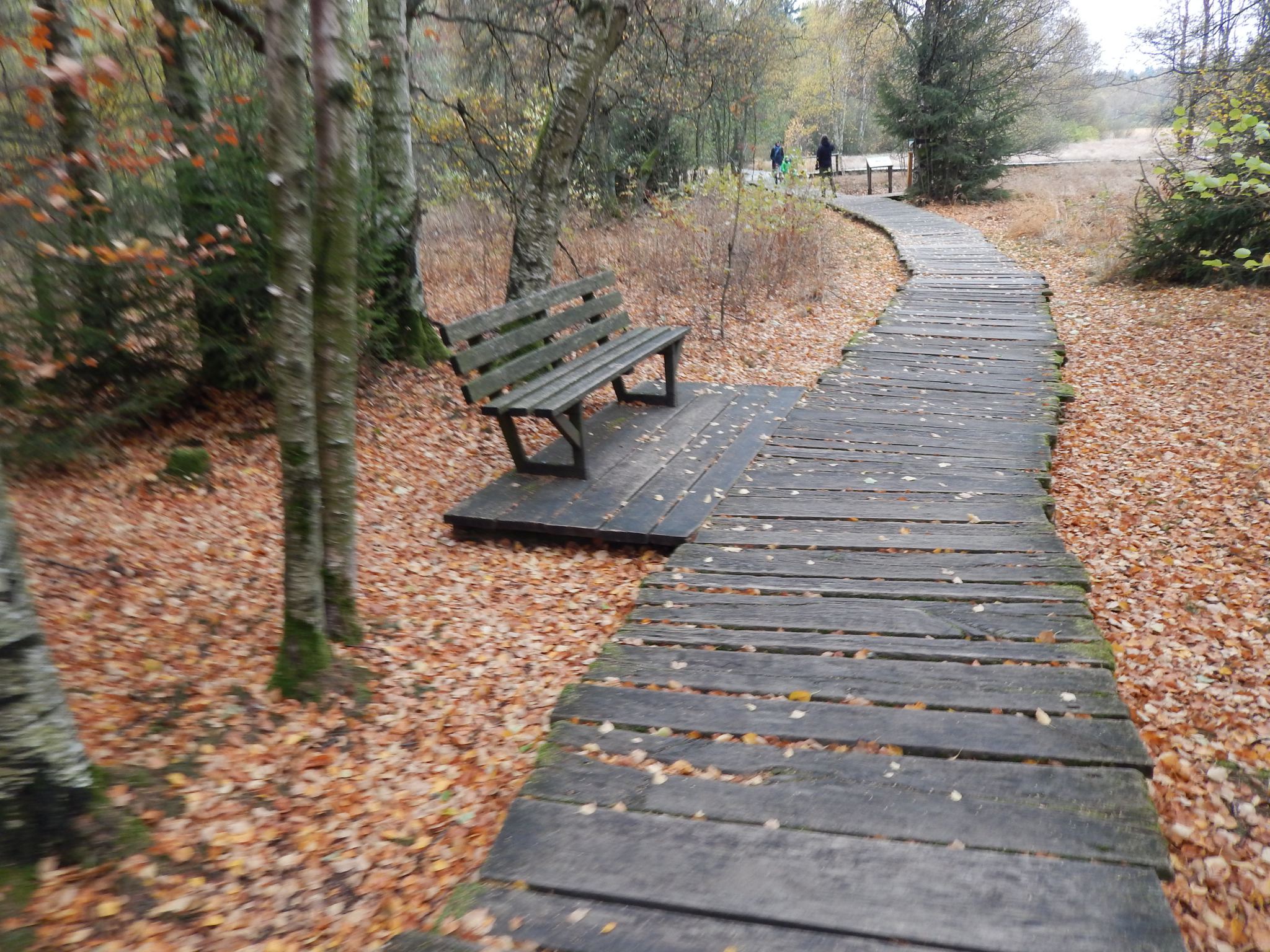 Naturlehrpfad Schwarzes Moor