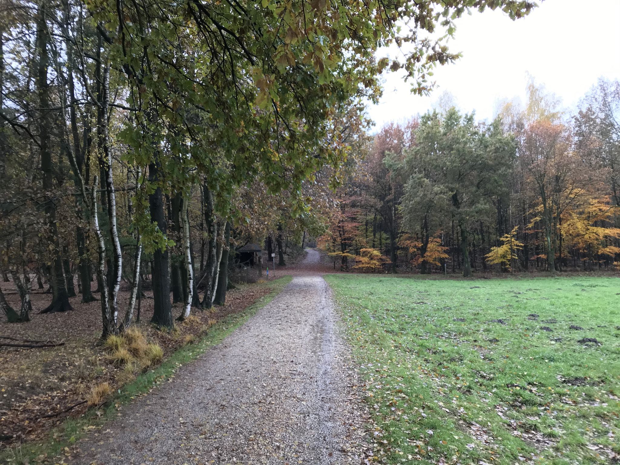 Naturpark Schwalm-Nette · Gagelmoor-Pfad
