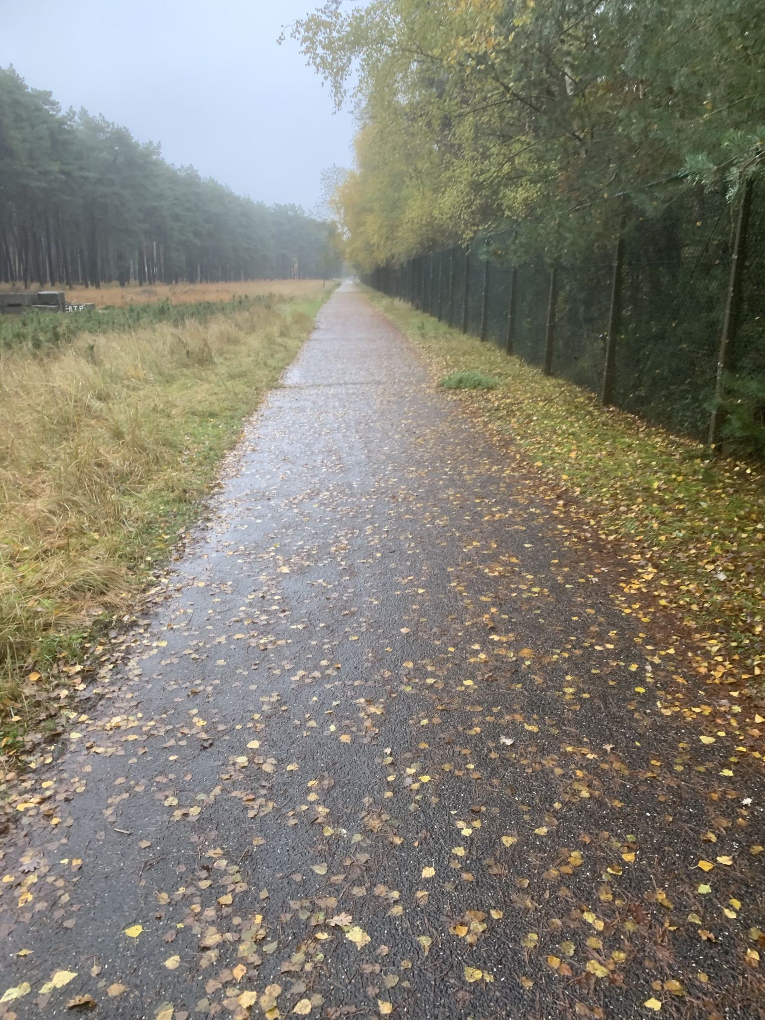 Naturpark Schwalm-Nette · Brachter Wald-Pfad