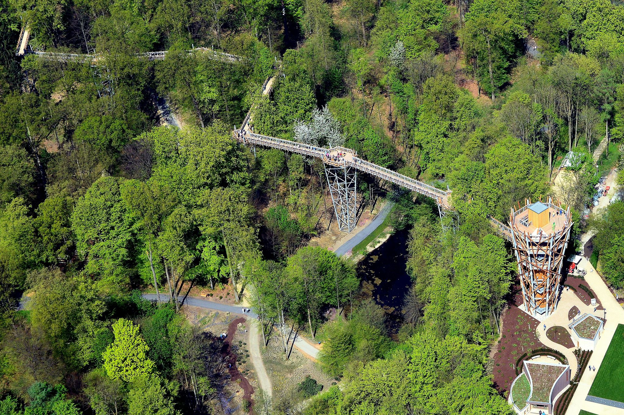Baumwipfelpfad Bad Iburg