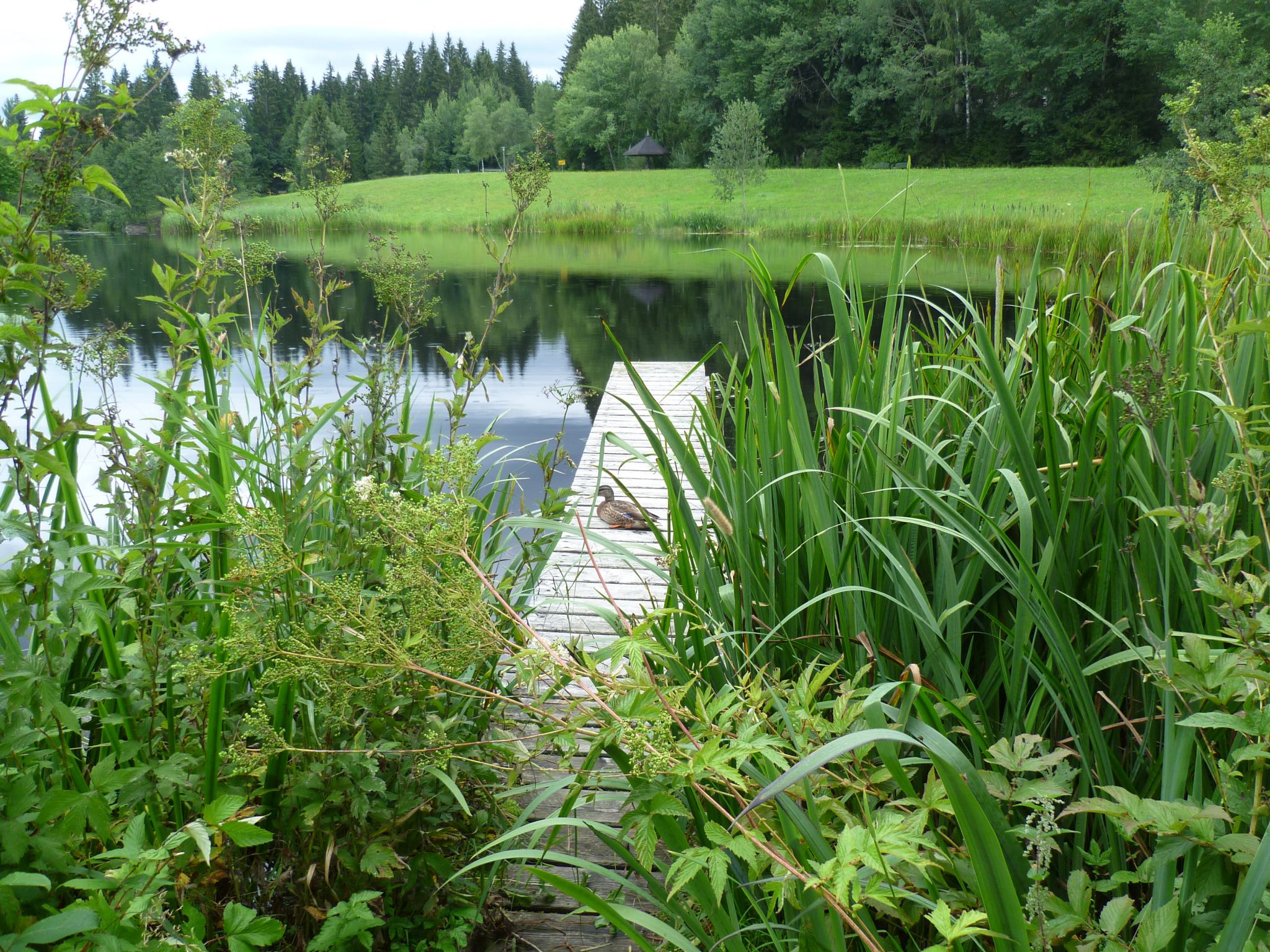 Kurpark Spiegelau