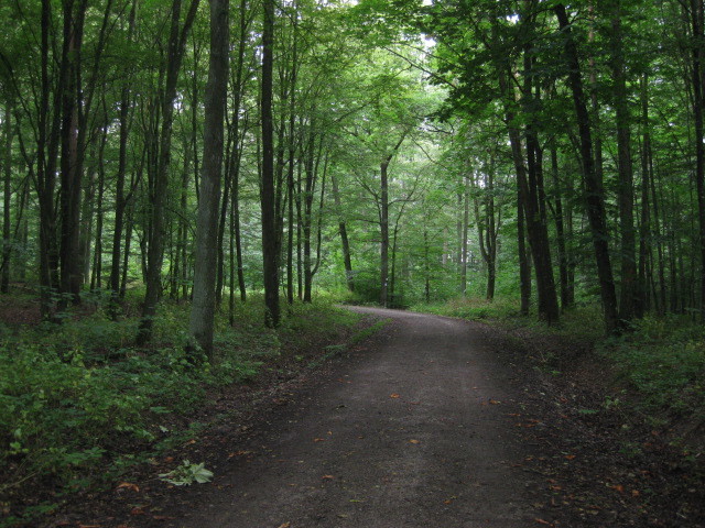 Wanderweg Colmberg