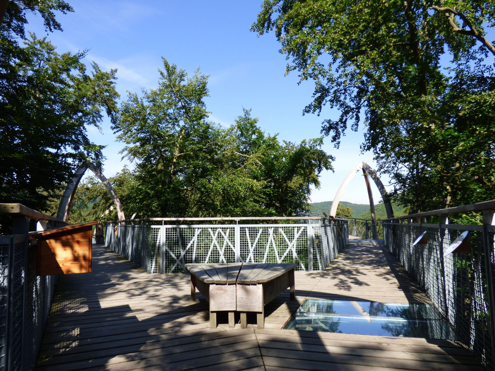 TreeTopWalk - Baumkronenweg am Edersee