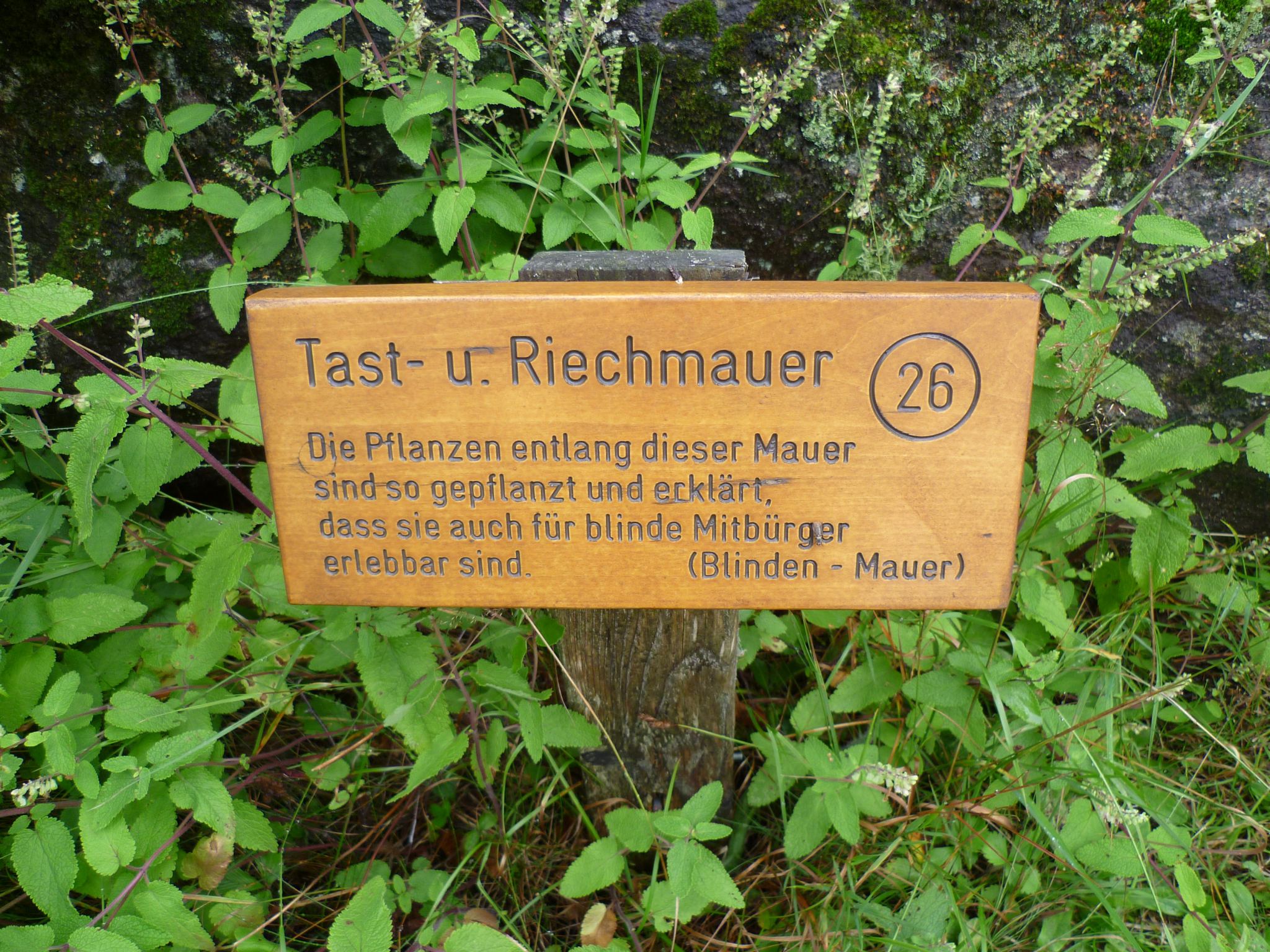Pflanzen- und Gesteins-Freigelände (Rundweg) im Nationalparkzentrum Lusen - ©Martine Ernst