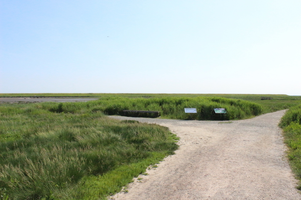 Wanderweg Langwarder Groden