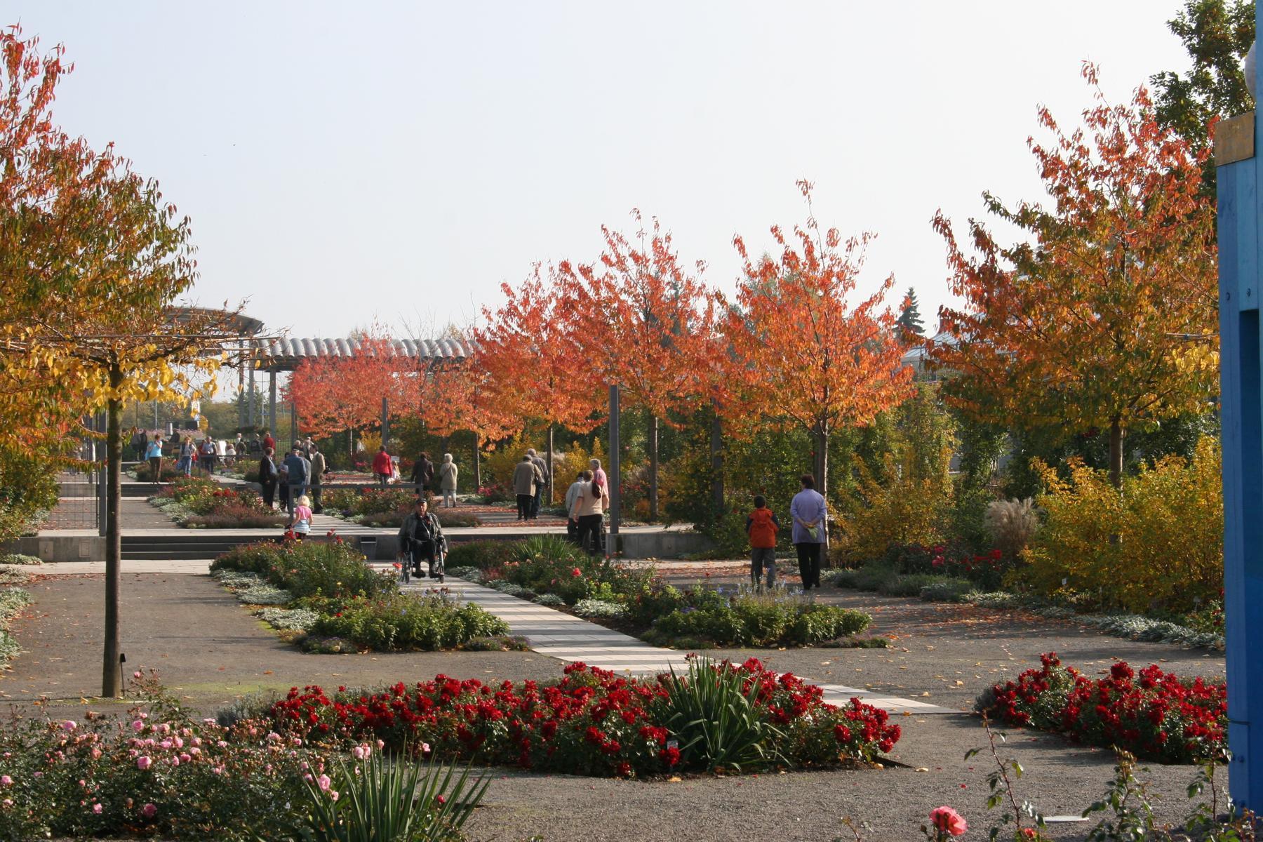 Europa Rosarium Sangerhausen