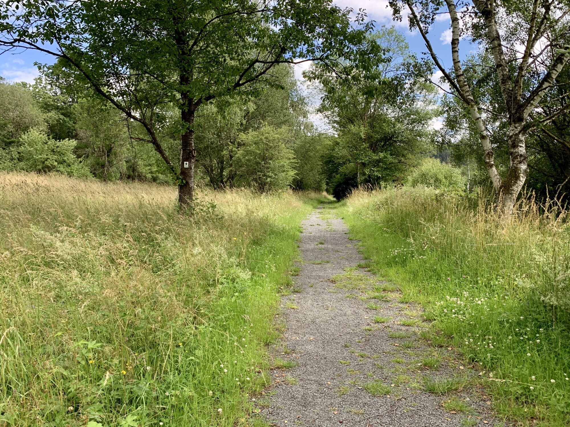 Komfortweg um den Stausee Irrhausen