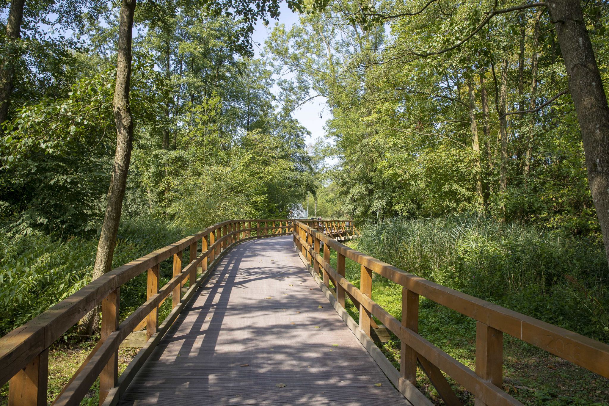 Zwischenahner Meerweg