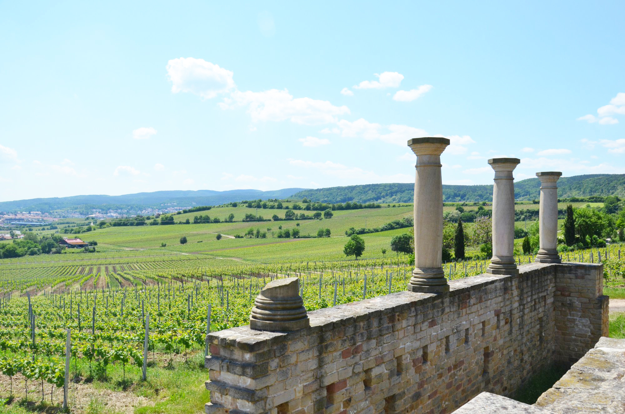 Weinwelt Herrenberg-Honigsäckel eG
