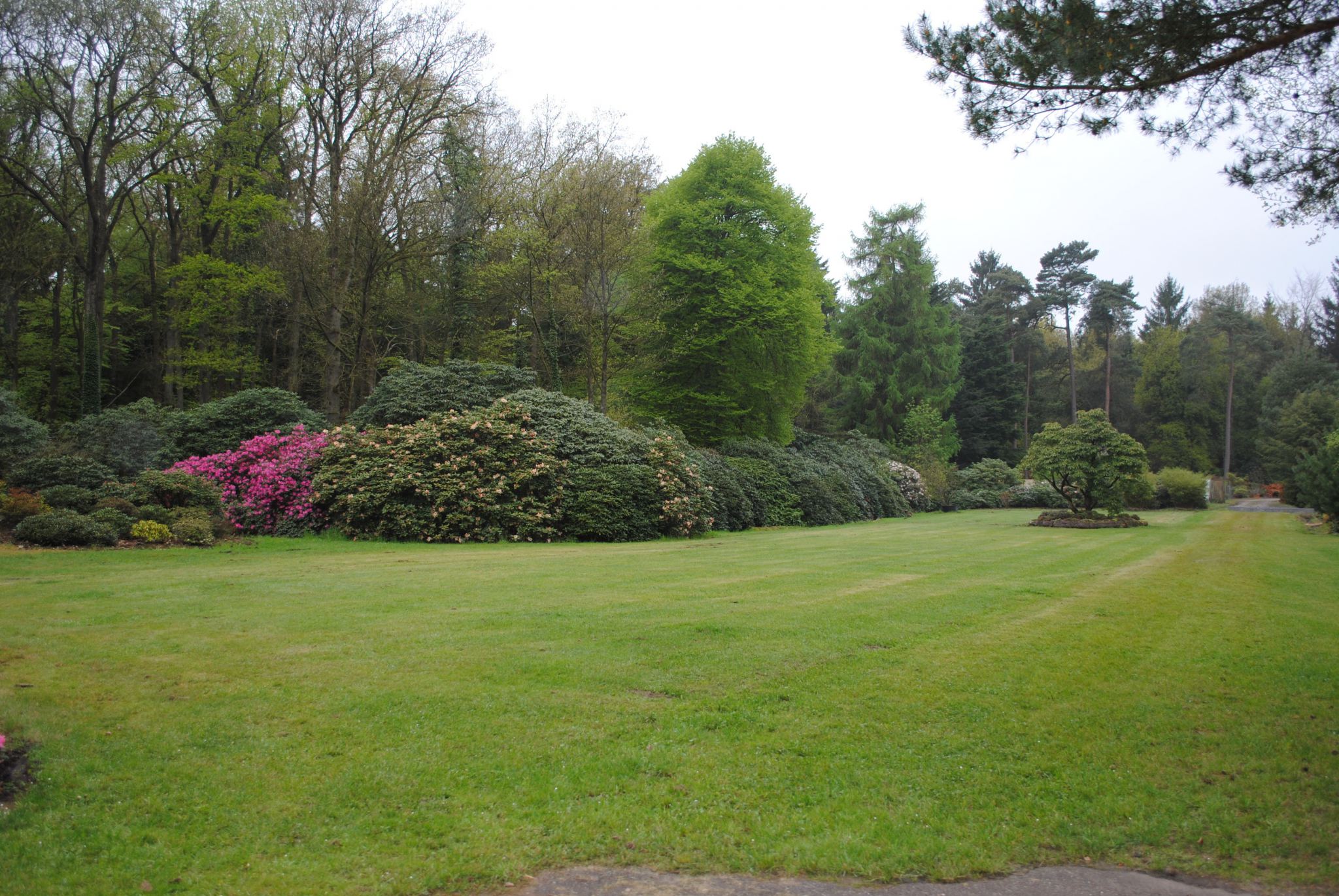 Rhododendronpark Hobbie
