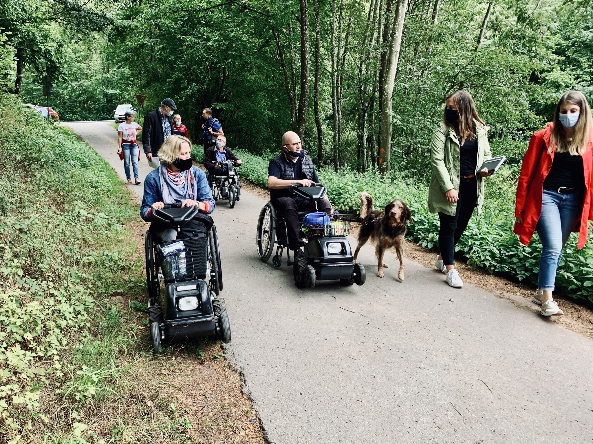 Mit Rollstuhlzuggerät im Naturpark Südeifel unterwegs - ©Naturpark Südeifel