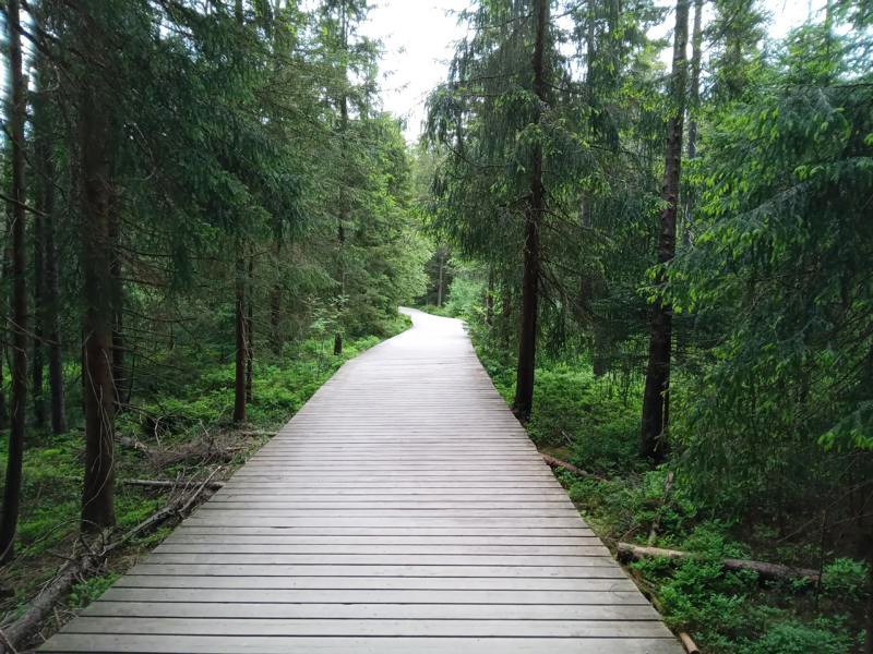 Rundwanderweg um den Fichtelsee