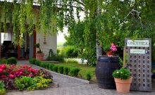 Weingut Paulinenhof Weingut Paulinenhof