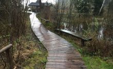 Wanderweg Moorerlebnis Sterntaler Filze Wanderweg Moorerlebnis Sterntaler Filze