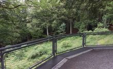 Tier-Freigelände im Nationalparkzentrum Lusen Tier-Freigelände im Nationalparkzentrum Lusen