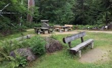 Pflanzen- und Gesteins-Freigelände im Nationalparkzentrum Lusen Pflanzen- und Gesteins-Freigelände im Nationalparkzentrum Lusen