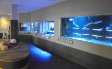 Nordseeaquarium Borkum Nordseeaquarium Borkum