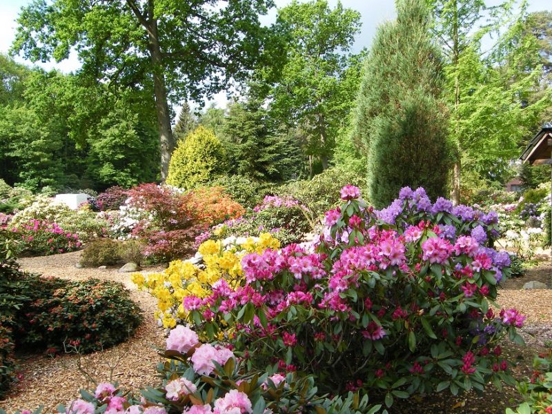 Urlaubsinspiration „Park und Kultur“