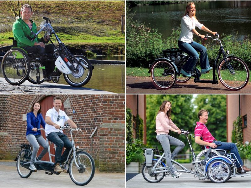 e-bike-verleih-bogen.de