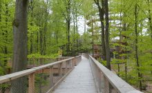 Baumwipfelpfad Steigerwald Baumwipfelpfad Steigerwald