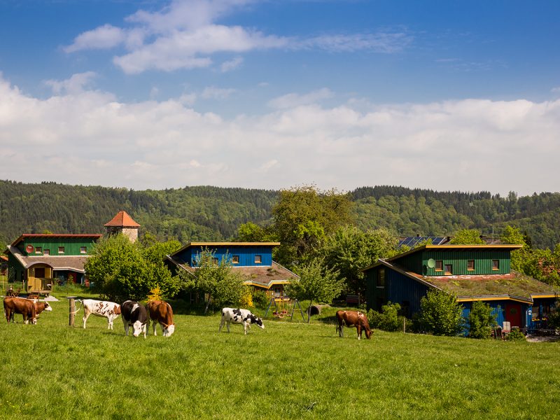 Ferienhaus Schöneweiß