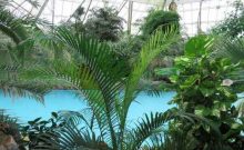Center Parcs Park Bispinger Heide Center Parcs Park Bispinger Heide