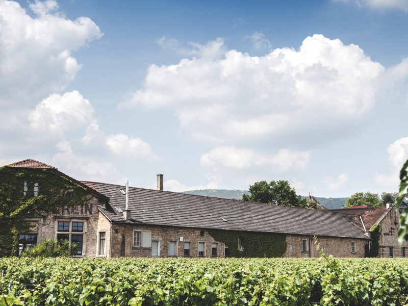 Winzerverein Deidesheim