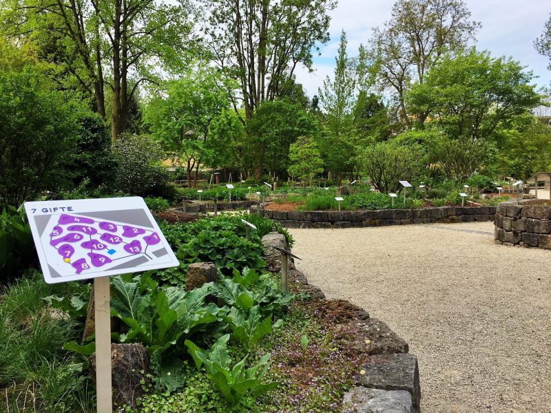 SAG Beet Gifte  - ©