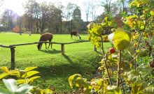 Tierpark Dessau - ©Tierpark Dessau Tierpark Dessau - ©Tierpark Dessau