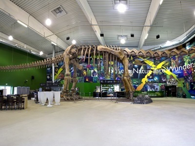 Bild von Gondwana - das Prähistorium - ©GONDWANA PRAEHISTORIUM E.K., MATTHIAS MICHAEL KUHL