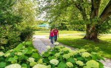 Spaziergänger im Kurpark  - ©Markus Tiemann