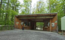 Baumwipfelpfad Steigerwald - ©Julia Marmulla Baumwipfelpfad Steigerwald - ©Julia Marmulla