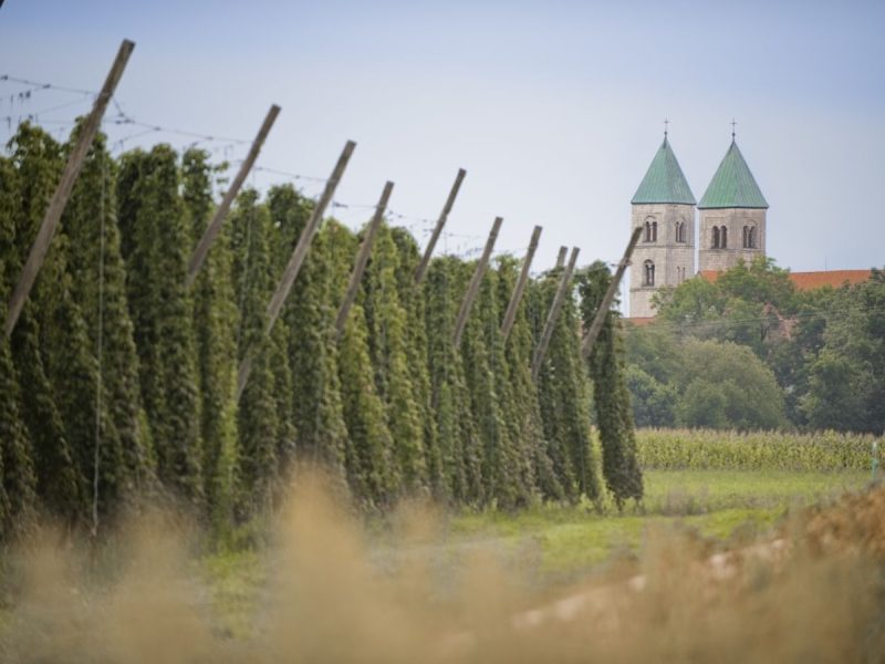 Bild von Urlaubsinspiration "Hopfenland Hallertau" - ©Anton Mirwald