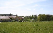 Jugendherberge Lauterbach - Urwald-Life-Camp - ©Sylvia Engel