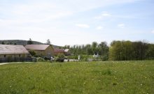 Jugendherberge Lauterbach - Urwald-Life-Camp - ©Sylvia Engel