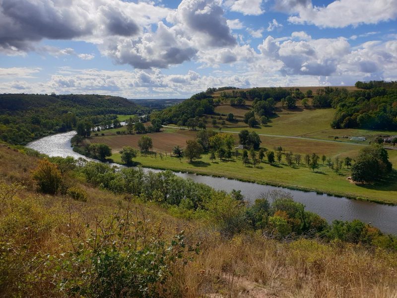Blick auf die Saale - ©Manuela Fischer Bild von Naturpark Unteres Saaletal - Informations- und Aussichtspunkt auf dem Saalberg in Rothenburg - ©Manuela Fischer